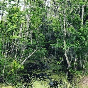 Meet your Posher, Jaroniee